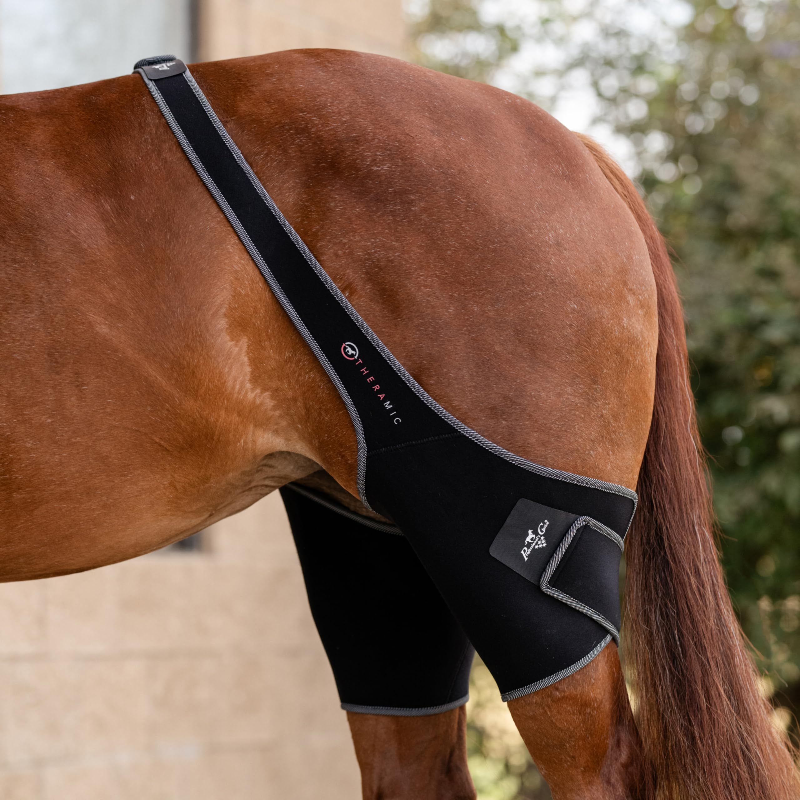 Professional's Choice Theramic Stifle Wrap for Horses - Enhances Blood Circulation, Reduces Inflammation & Relieves Joint Pain | Infrared Heat Therapy for Equine Recovery & Performance | Ideal for Training, Competition & Post-Injury Care