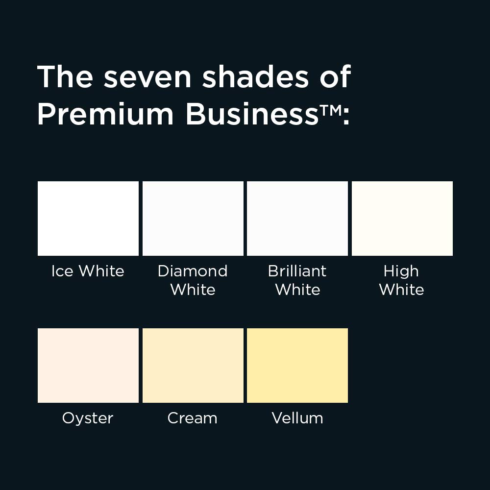 Premium Business DL 110 x 220 mm 120 GSM Peel & Seal Window Wallet Envelopes (51884) Vellum Wove - Pack of 500 for Mailing Invoices, Statements & Business Correspondence