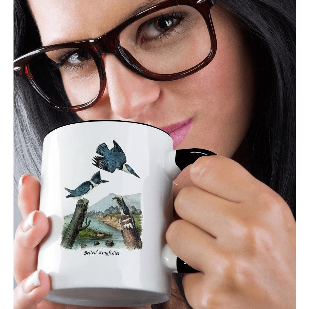 3dRose 11oz Belted Kingfisher Coffee Mug - John James Audubon Collection - Funny Gift for Bird Lovers & Coffee Enthusiasts - Perfect for Home, Office & Outdoor Use