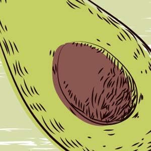 4#Fruit-Avocado