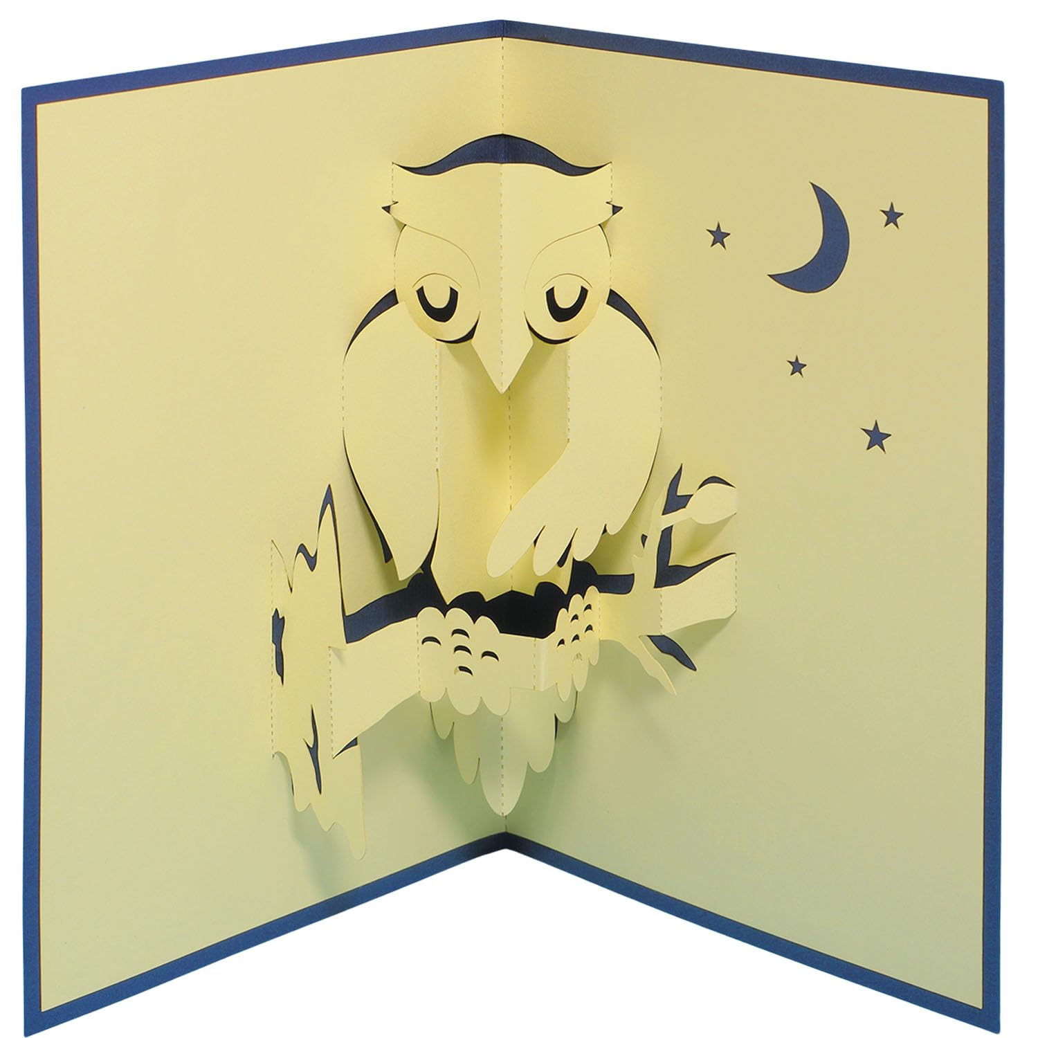 LIN Pop Up 3D Greeting Card for Animal Lovers - Night Owl Design (#137) | Perfect Birthday, Thank You & Holiday Cards for Owl Enthusiasts