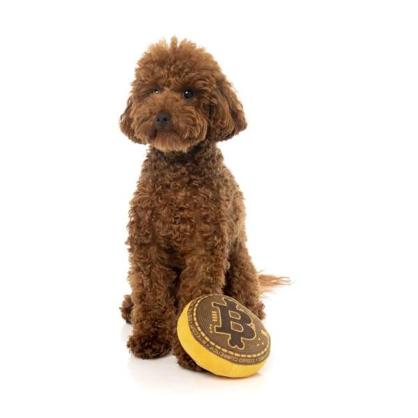 Fuzzyard Bite Coin Plush Dog Toy - Soft & Durable Chew Toy for Small & Medium Dogs, Interactive Play & Stress Relief - Perfect for Playtime, Training & Teething Puppies