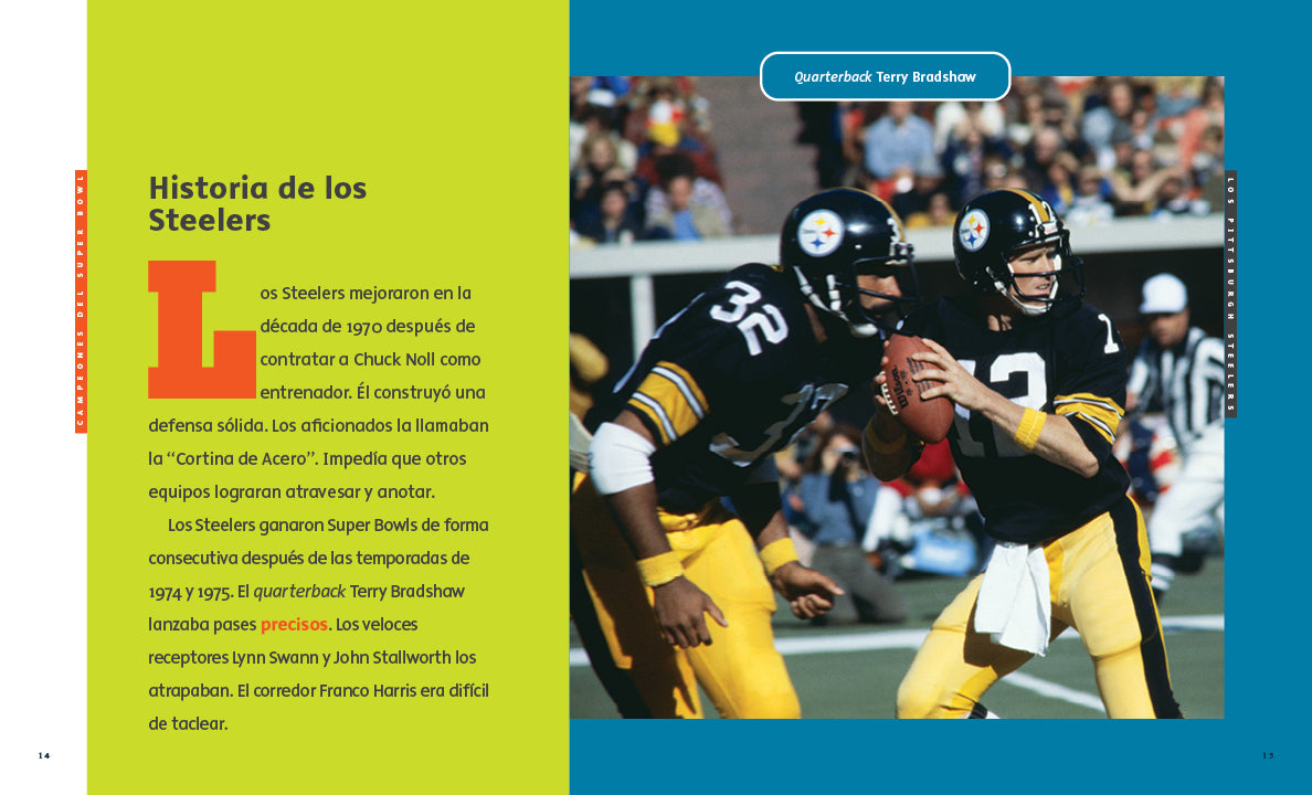 Pittsburgh Steelers Official NFL Merchandise & Fan Gear - Jerseys, Hats, Apparel for Football Games & Tailgating