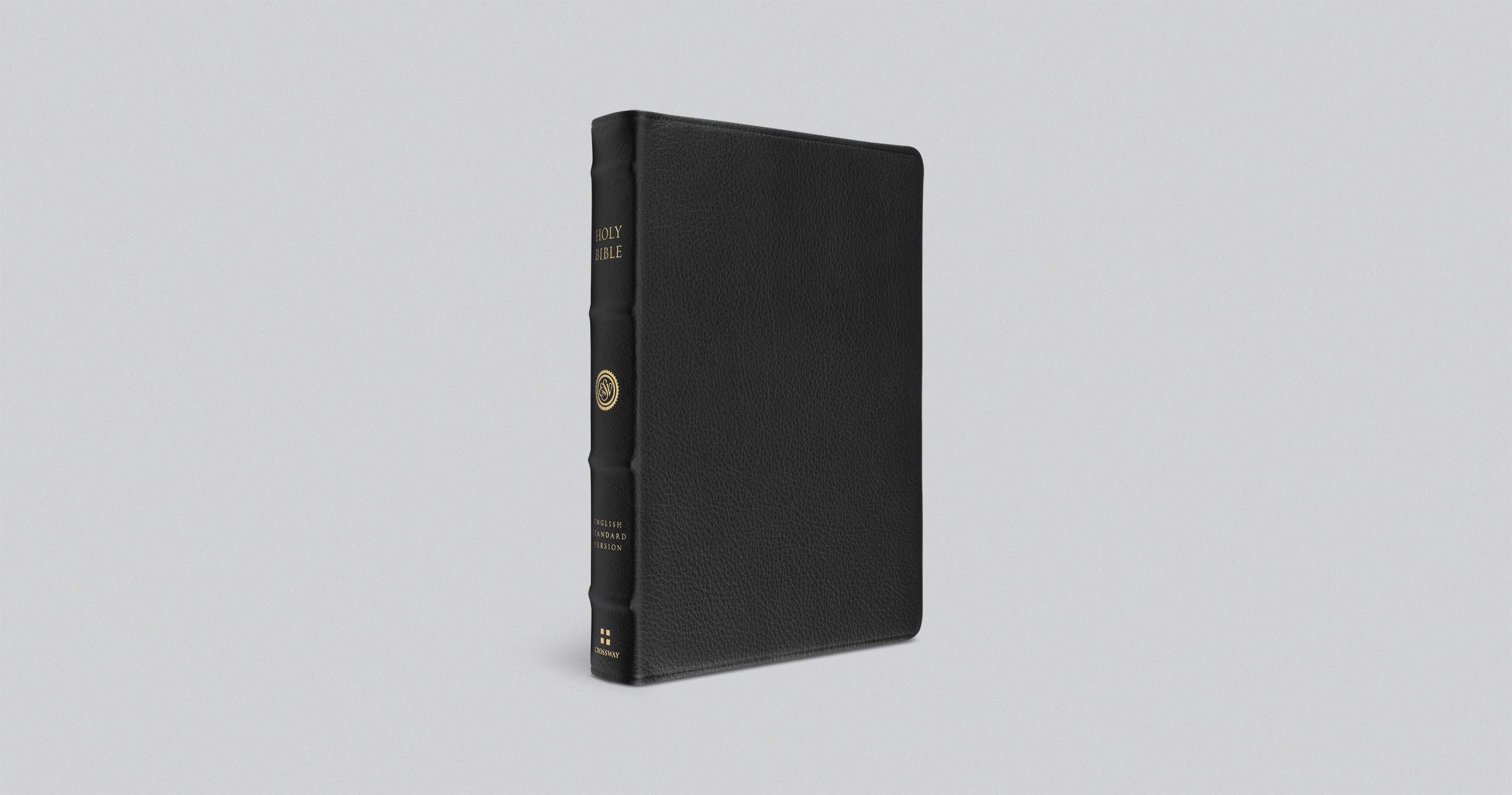 ESV Verse-by-Verse Reference Bible - Black Leather Cover | Study Bible for Personal Devotion, Church Teaching & Biblical Research