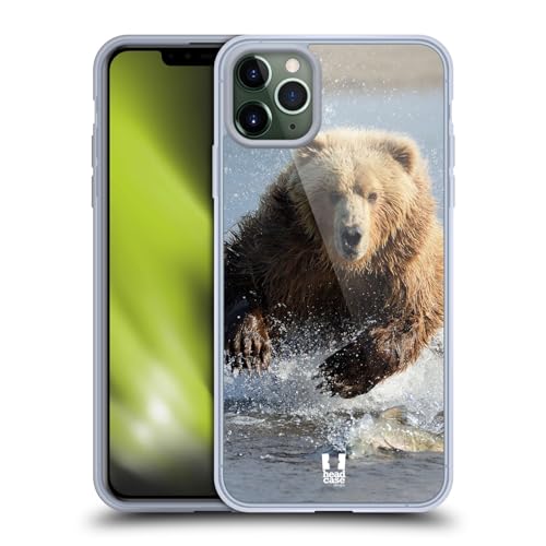 Grizzly Bear Jumping