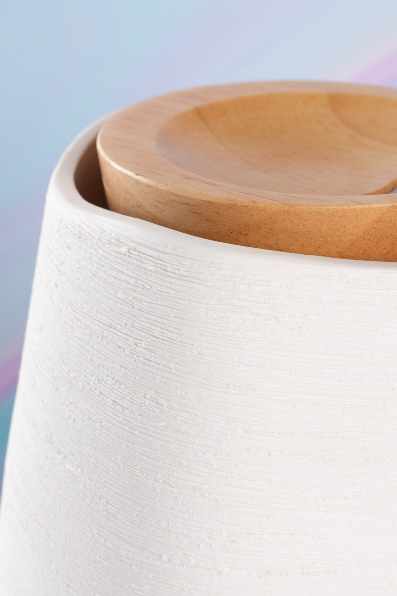 Premium Aroma Fern Ceramic Essential Oil Diffuser - Natural Home Fragrance for Relaxation, Yoga & Spa