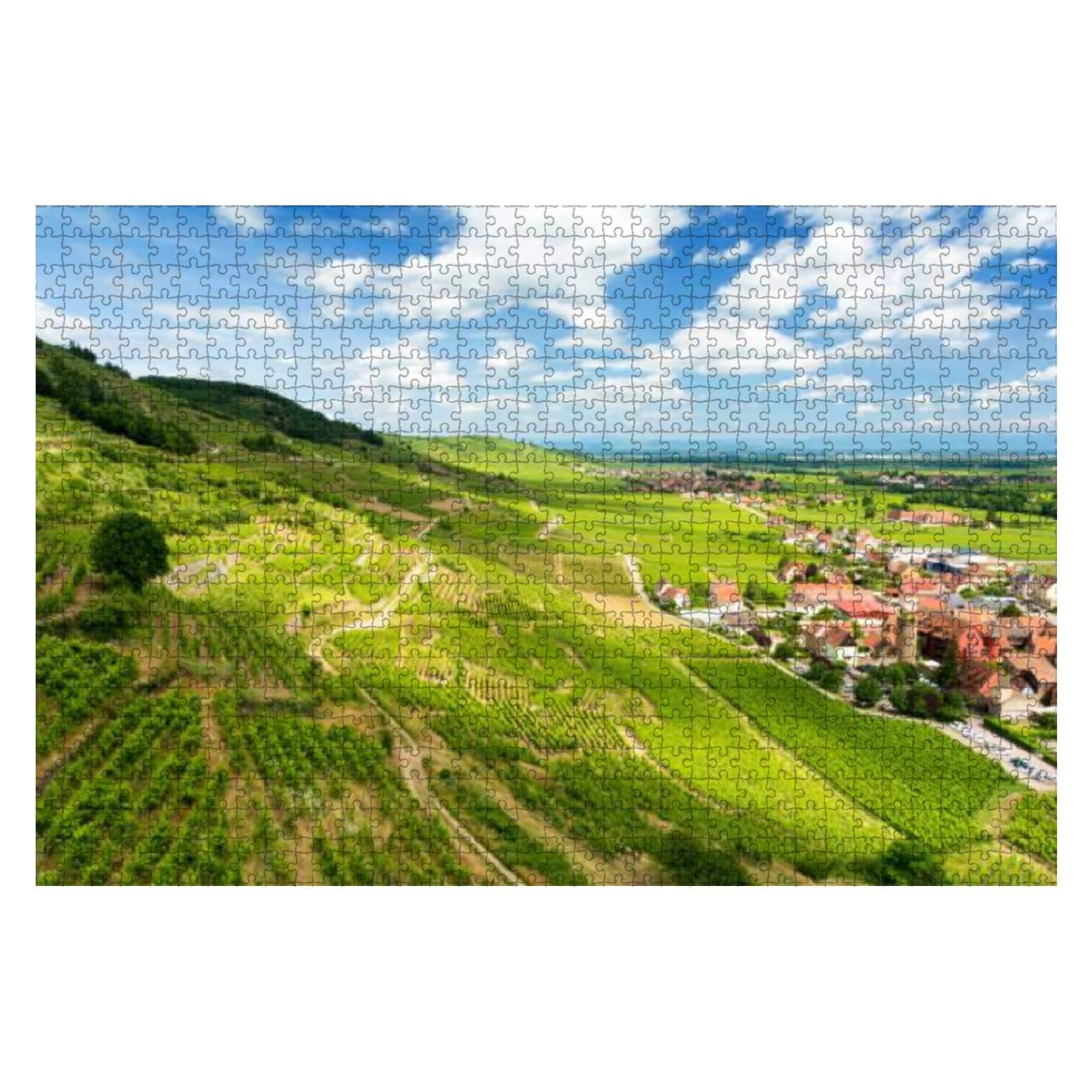 1000-Piece Wooden Jigsaw Puzzle - Alsace France Vineyard Landscape - Educational & Stress-Relief Puzzle for Adults & Kids - Perfect for Family Game Night & Home Decor