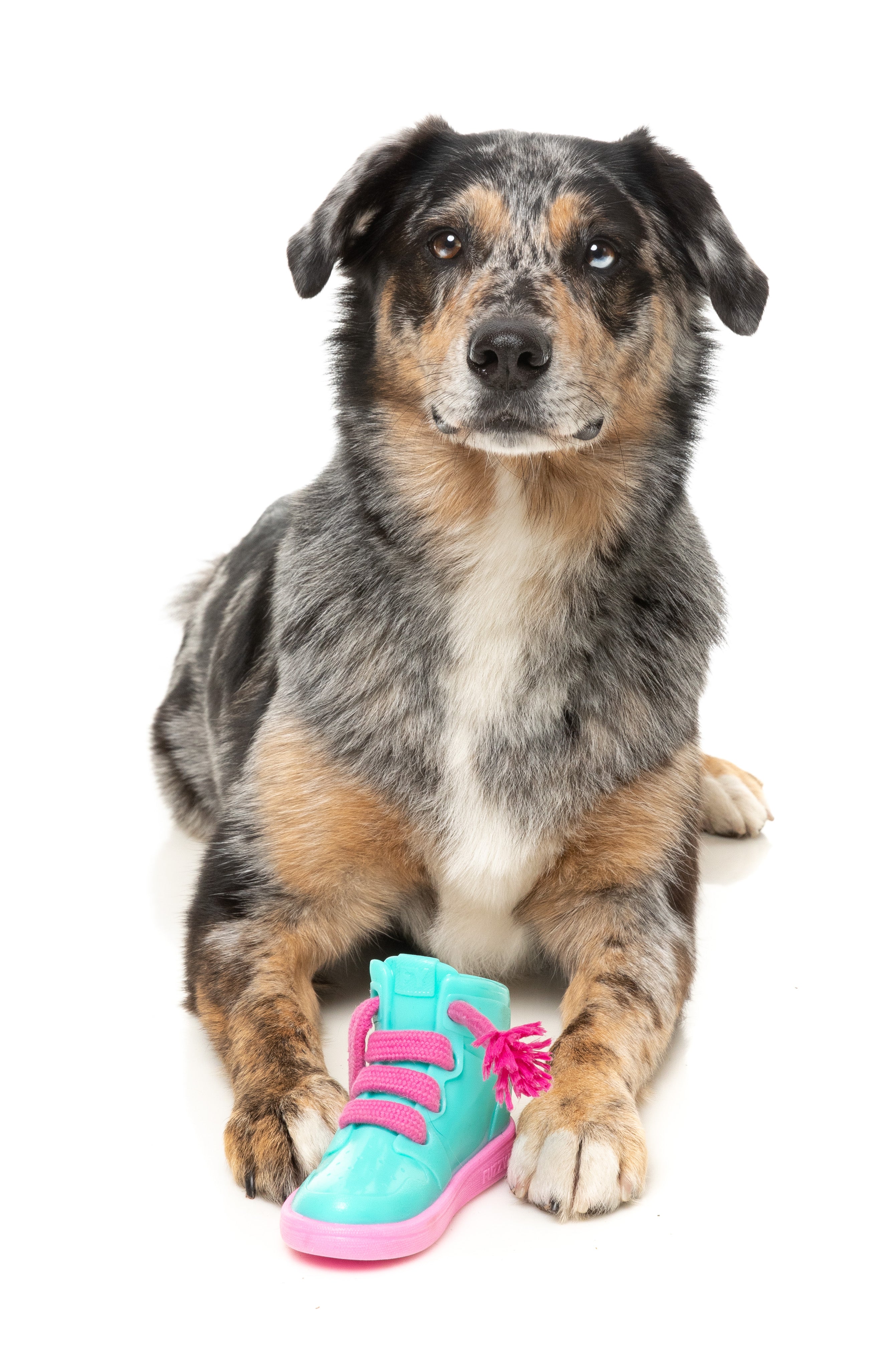 Fuzzyard Interactive Treat Dispensing Dog Chew Toy - Fun Puzzle Game for Dogs with Fresh Kicks N' Licks Flavor - Perfect for Boredom Relief & Dental Health