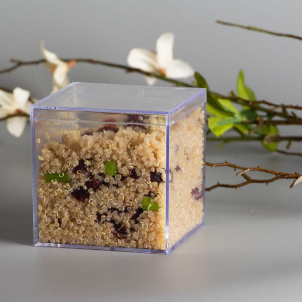 3 Inch Clear Square Plastic Boxes with Lid - Set of 4 - Perfect for Jewelry Storage, Craft Organizer, Gift Packaging & Small Item Collection