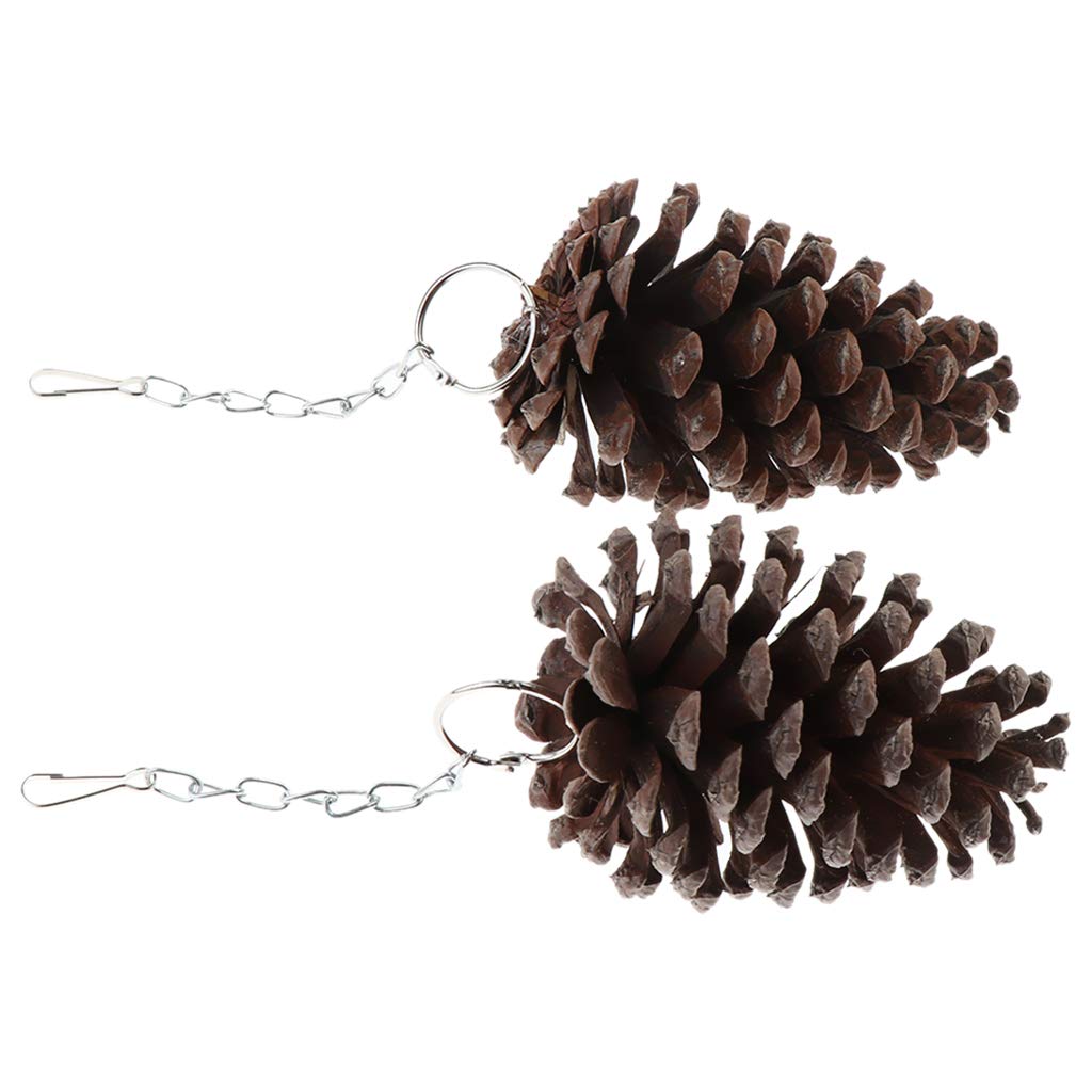 2Pcs Natural Wooden Chewing Bird Toys & Perches for Parrots - Safe & Durable for Cage Play, Training & Beak Trimming