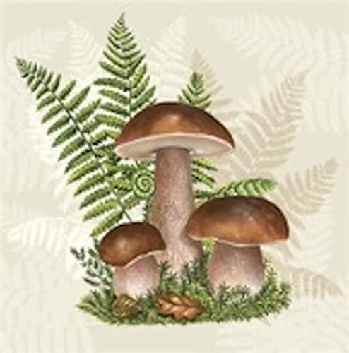 Boletus