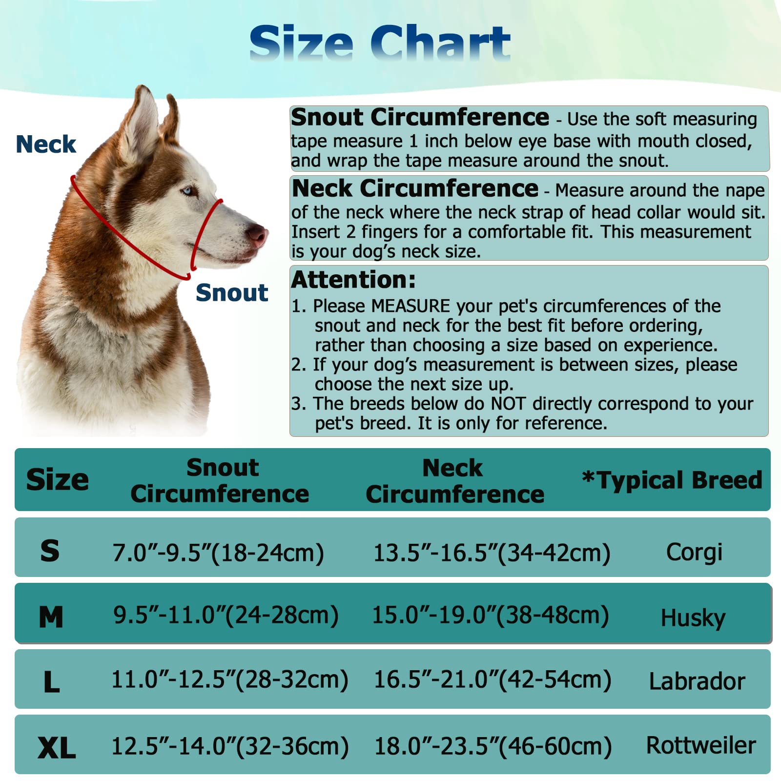 BARKLESS No Pull Dog Muzzle Leash - Adjustable Head Halter for Medium & Large Aggressive Dogs - Gentle Face Harness Stops Pulling & Choking - Stylish Blue Head Collar (Size M) - Perfect for Walking, Training & Controlling Strong Pullers Safely