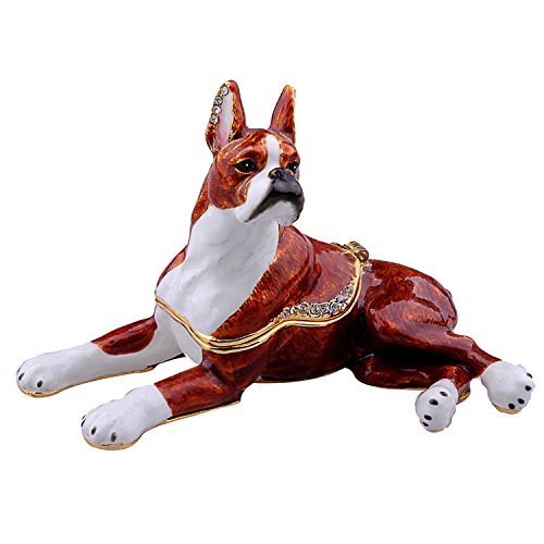 Boxer Dog