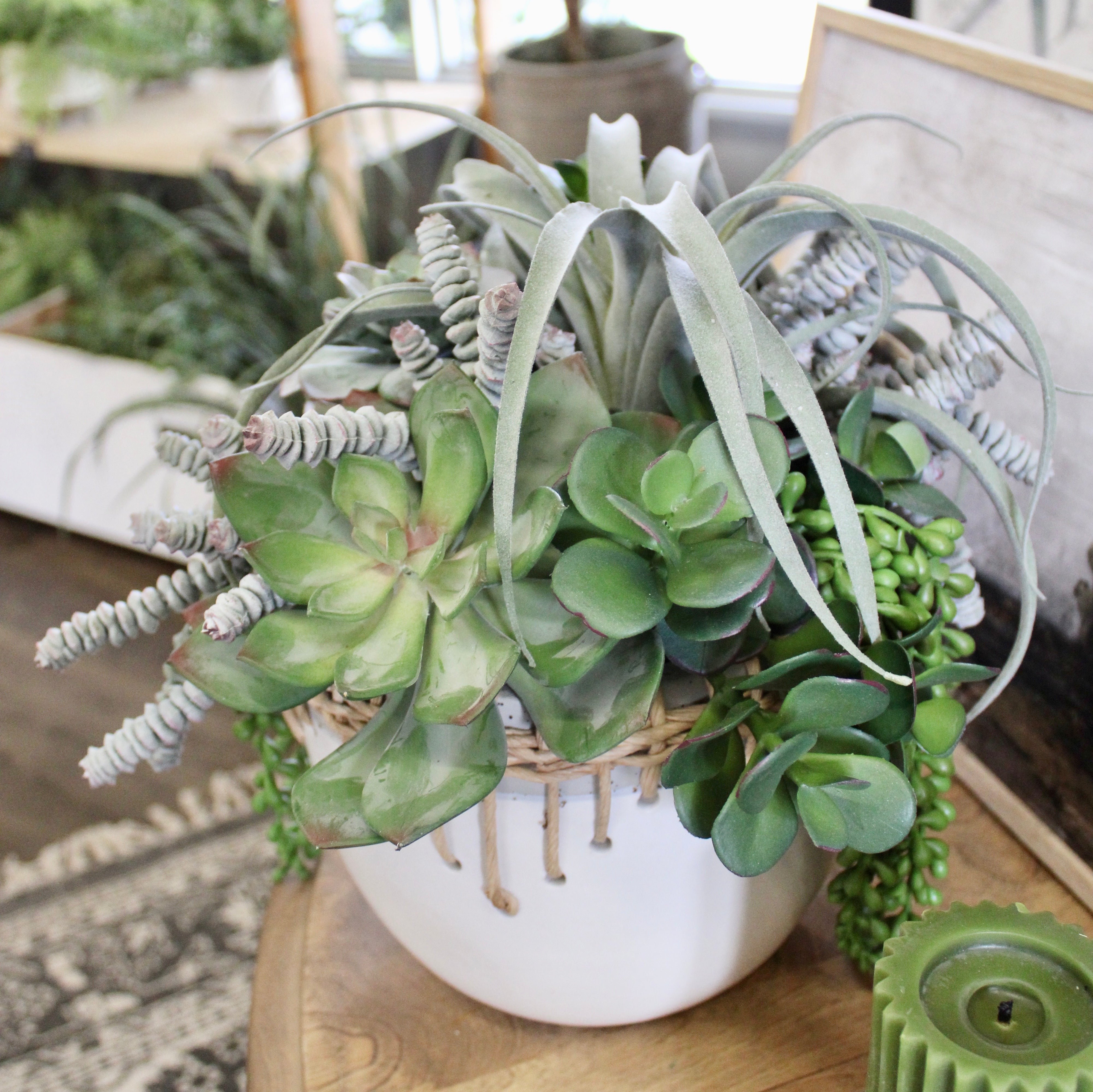 Air Plant & Triple Jade Mixed Succulent Arrangement - Low Maintenance Indoor Plants for Home Decor, Office Desk, and Gift Ideas