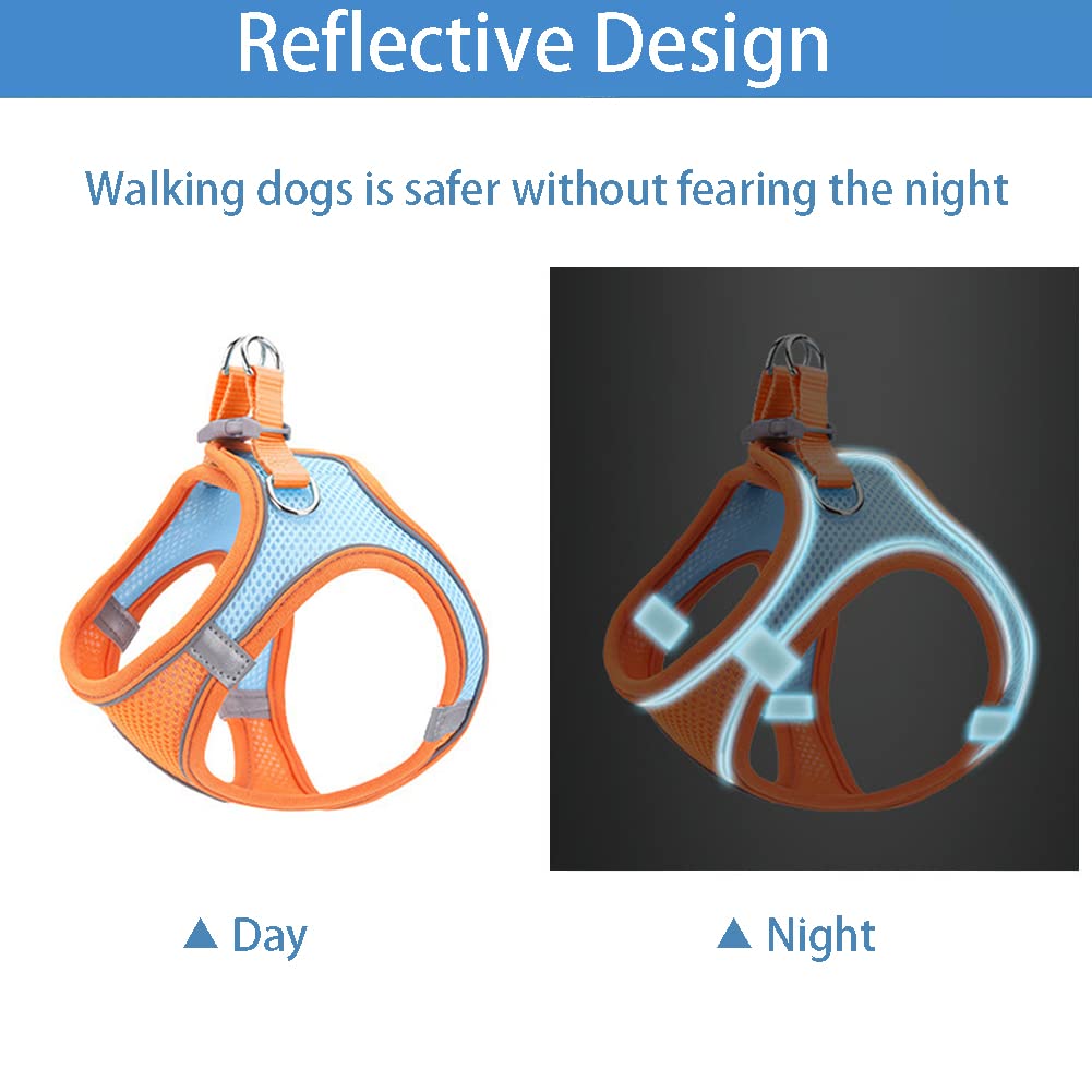 No-Pull Adjustable Mesh Cat & Small-Medium Dog Harness with Leash - Step-in Vest for Puppies & Small Breeds - Comfortable Walking Pet Harness Set for Daily Walks, Hiking & Outdoor Adventures