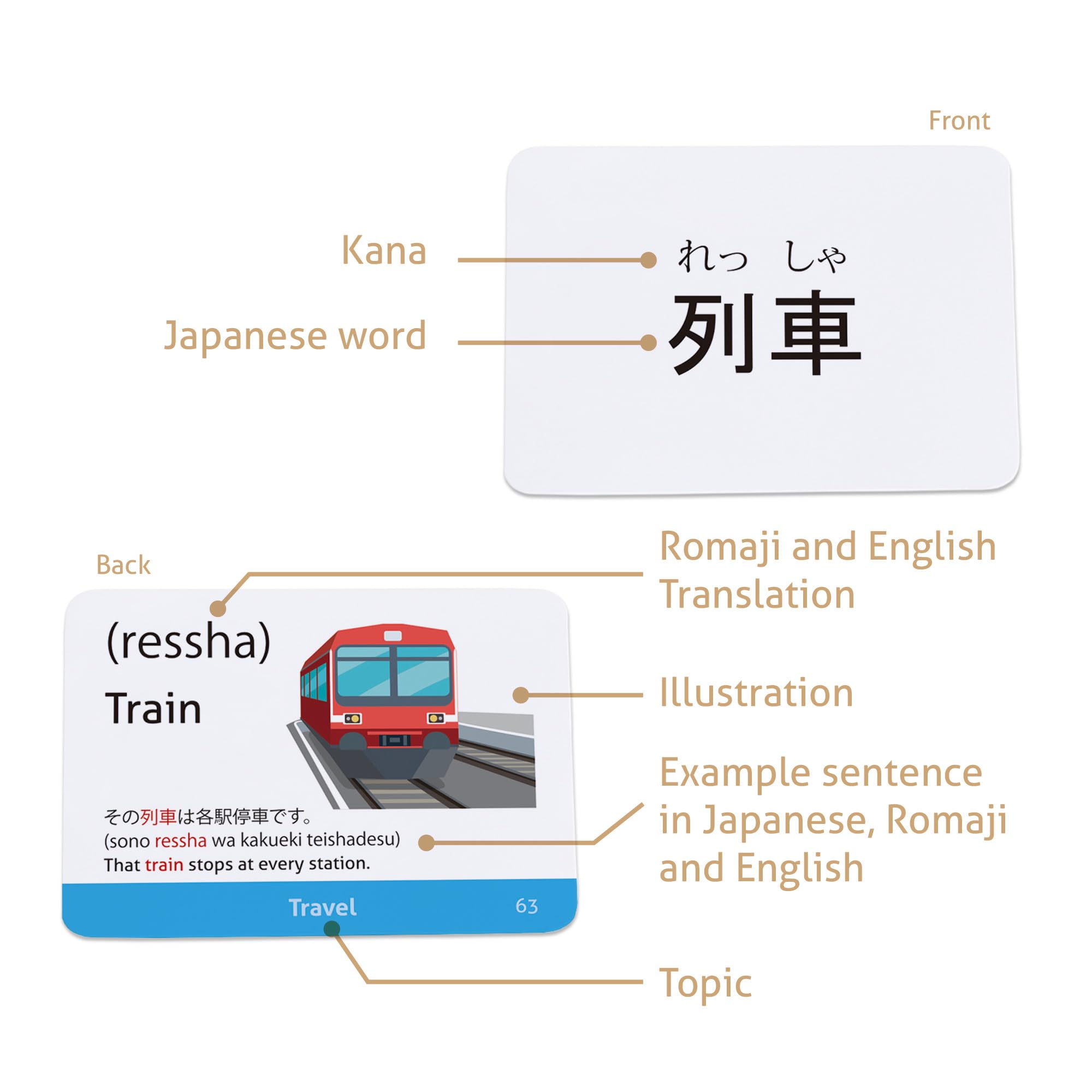 CARDDIA Japanese Hiragana & Katakana Flash Cards with Vocabulary - Beginner Learning Set for Language Study, Travel & Anime Enthusiasts