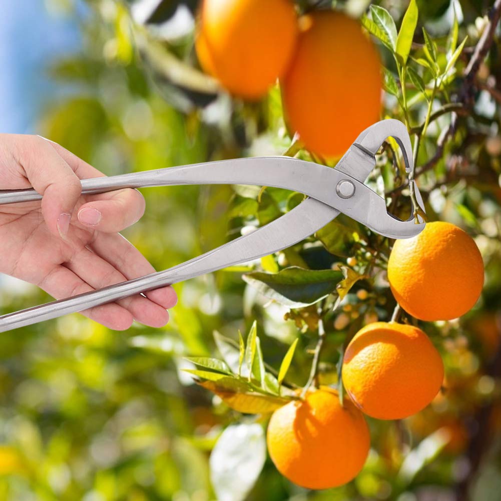 27cm Stainless Steel Bonsai Trunk Splitter - Professional Garden Branch Cutter & Pruning Scissors for Beginners | Perfect for Bonsai Shaping, Tree Trimming, and Gardening Maintenance