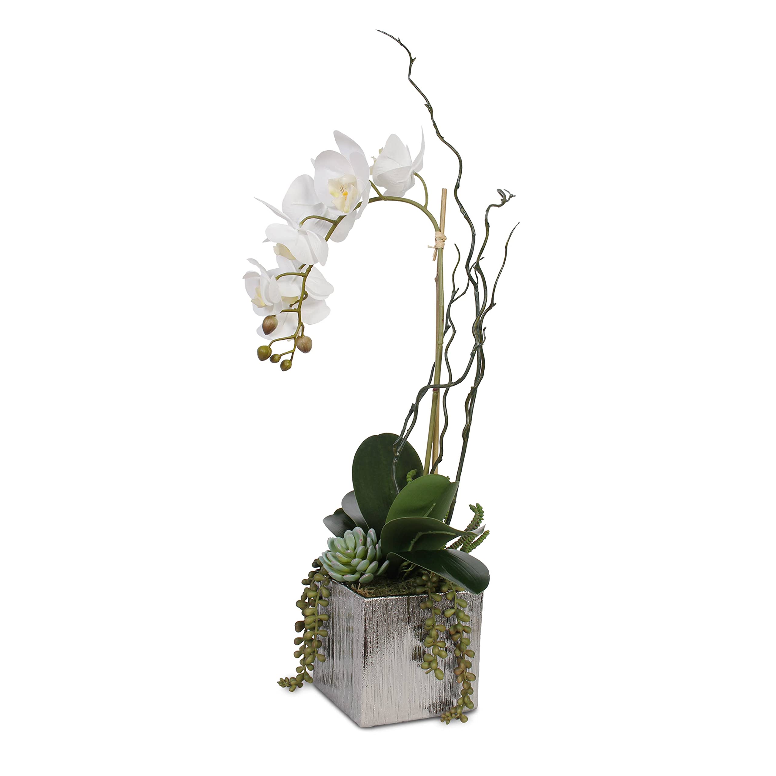 Real Touch White Phalaenopsis Orchid with Succulents in Silver Ceramic Pot - Elegant Home & Office Decor for Weddings, Centerpieces, and Gift Giving