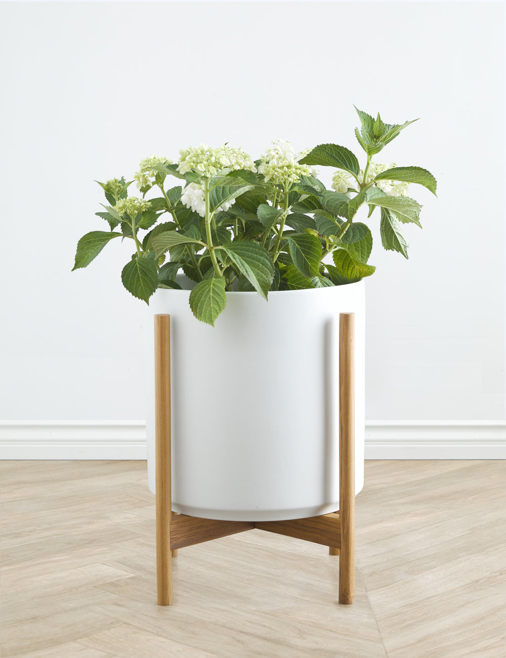 LBE Design Ceramic Planter Pot with Teak Wood Stand - Modern Indoor/Outdoor Flower Pot for Home Decor, Office Plants & Garden Display