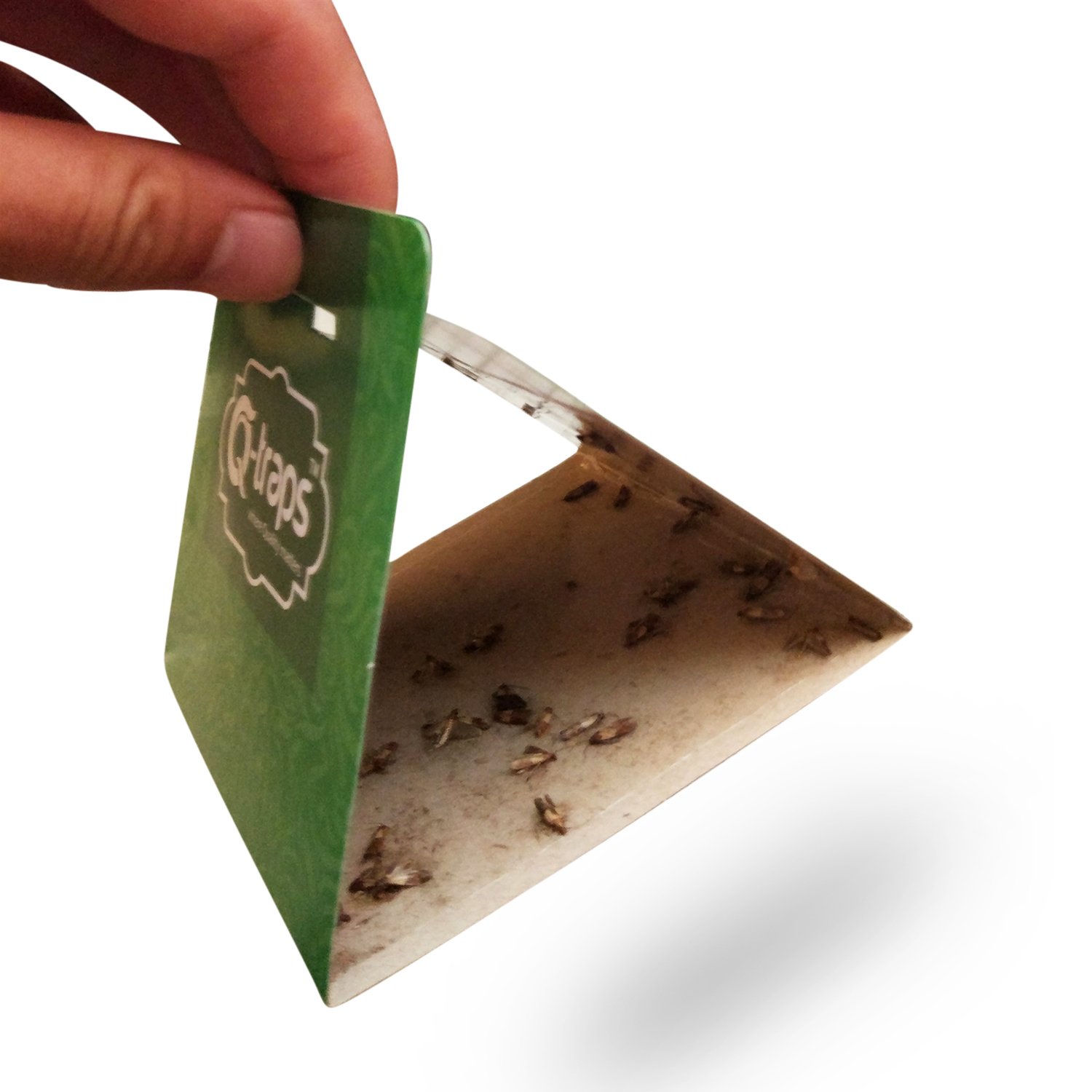 Pantry Moth Traps - 6 Pack Safe & Non-Toxic Pheromone Traps for Indian Meal Moths, Kitchen & Food Storage Pest Control | Odorless, Insecticide-Free | Ideal for Pantries, Cupboards & Grain Storage Areas