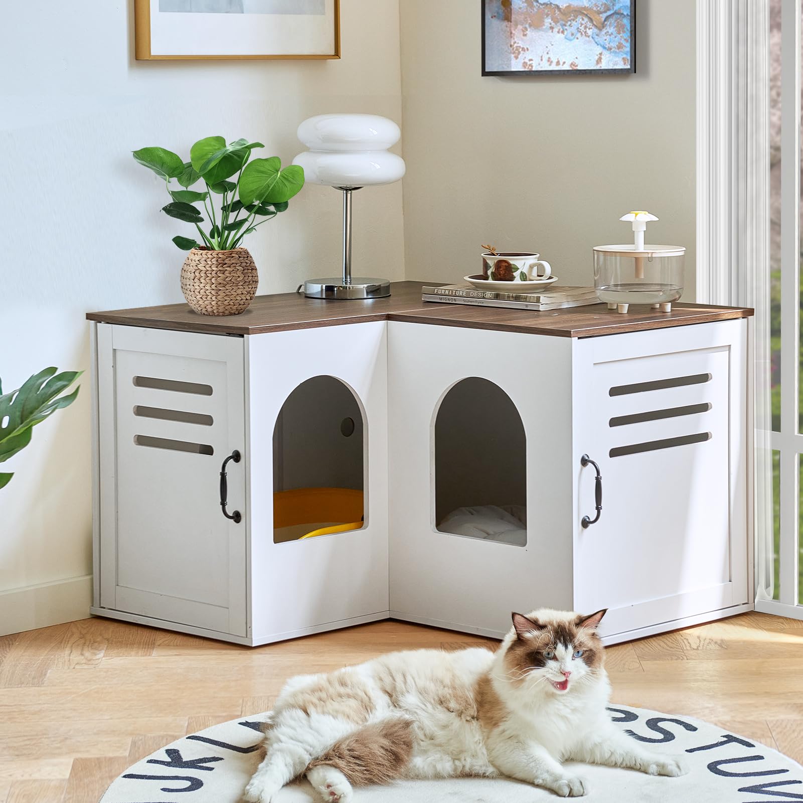 Hidden Litter Box Furniture for 2 Cats - Corner Litter Box Enclosure Cabinet with Double Room, Indoor Cat House End Table (31.5 x 17.7 x 19.7 Inches, White) - Perfect for Small Spaces & Living Room Discretion