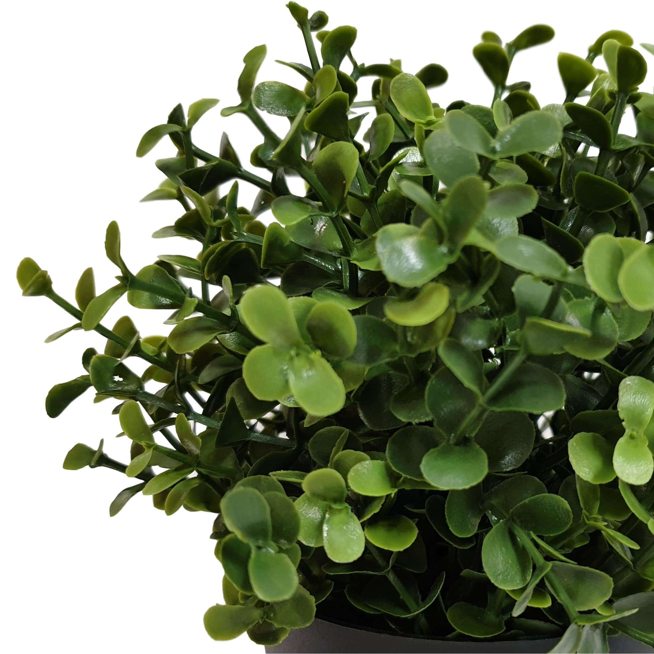 Small Artificial Buxus Plant in Pot - 8 Inch UV Resistant Fake Boxwood for Home Decor, Office Desk, or Wedding Centerpieces
