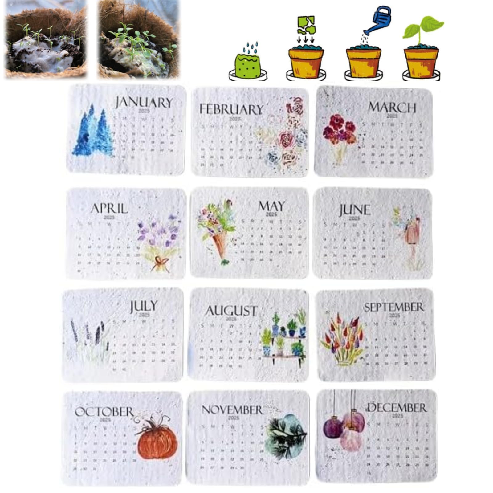 2025 Plantable Seed Calendar - Eco-Friendly Greenery Planner with Growable Herbs & Flowers | Sustainable Gardening Gift for Home, Office & Classroom Organization | Perfect for Planning, Scheduling & Eco-Conscious Living