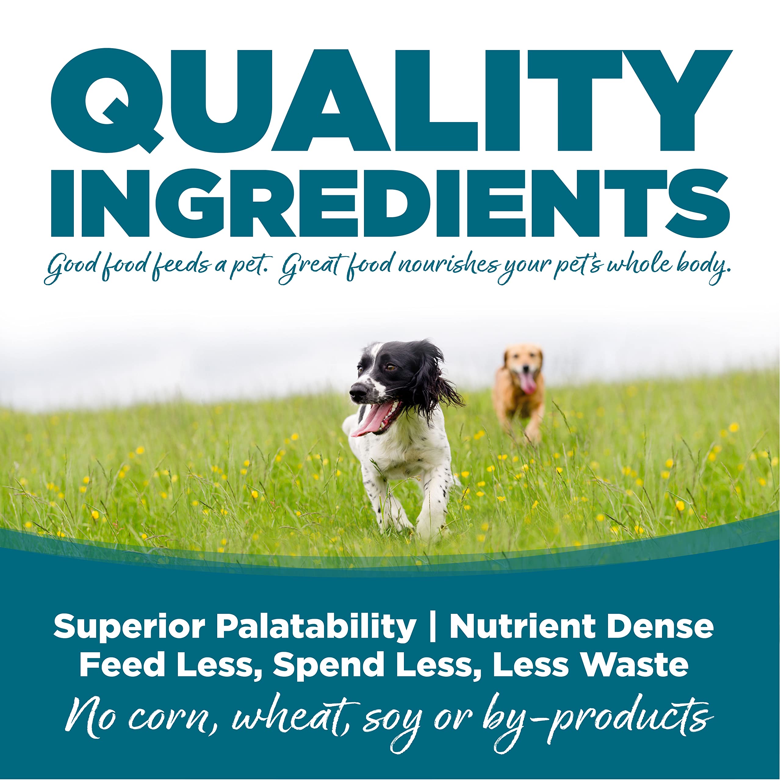 NutriSource Adult Dry Dog Food with Chicken & Rice - Wholesome Grains for Healthy Digestion - 1.5LB Bag - Perfect for Active Dogs & Daily Meals