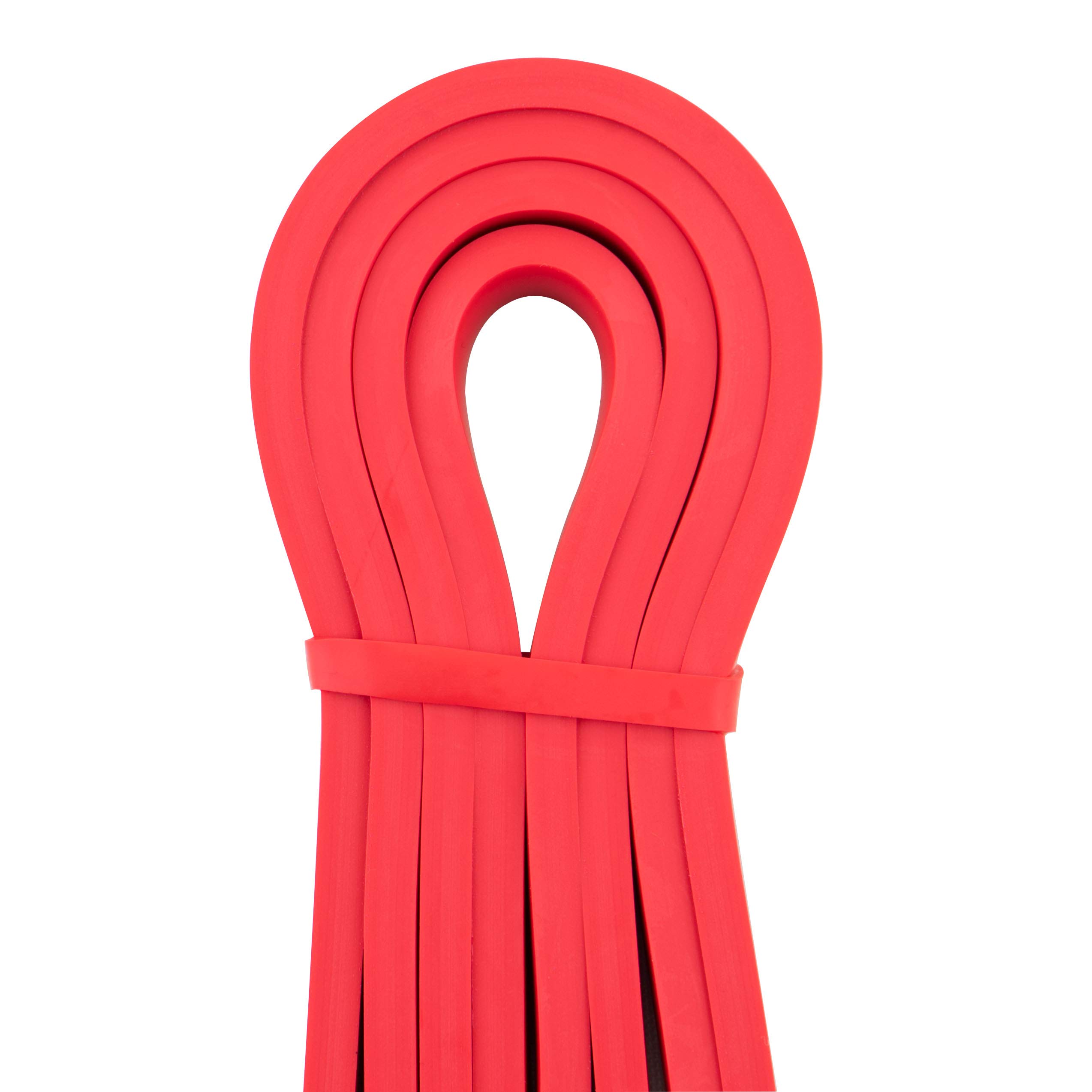 Heavy-Duty Exercise Resistance Bands for Physical Therapy, Fitness Training & Muscle Building - Stretch Mobility Bands for Rehab, Workouts & Home Gym Use