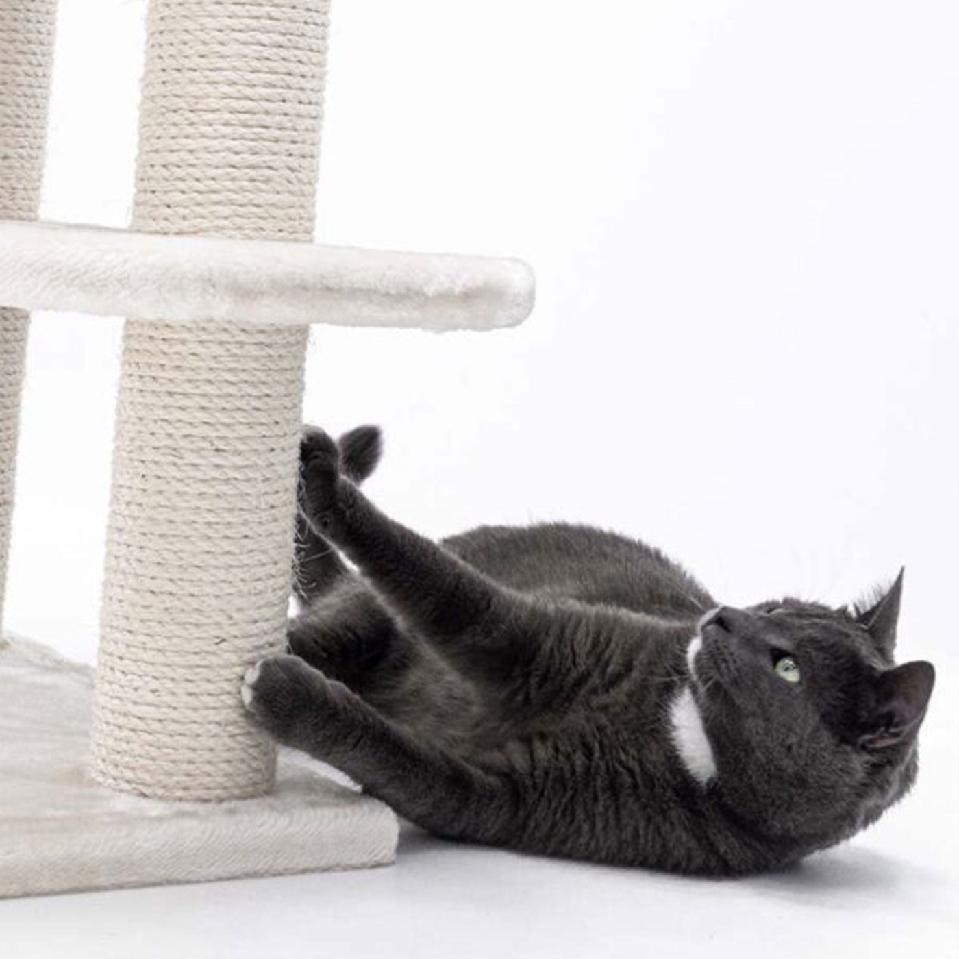 Little Rebels Tucson 61cm Cat Tree - Premium Scratching Post with Perch & Condo for Indoor Cats - Perfect for Play, Rest & Climbing in Small Spaces