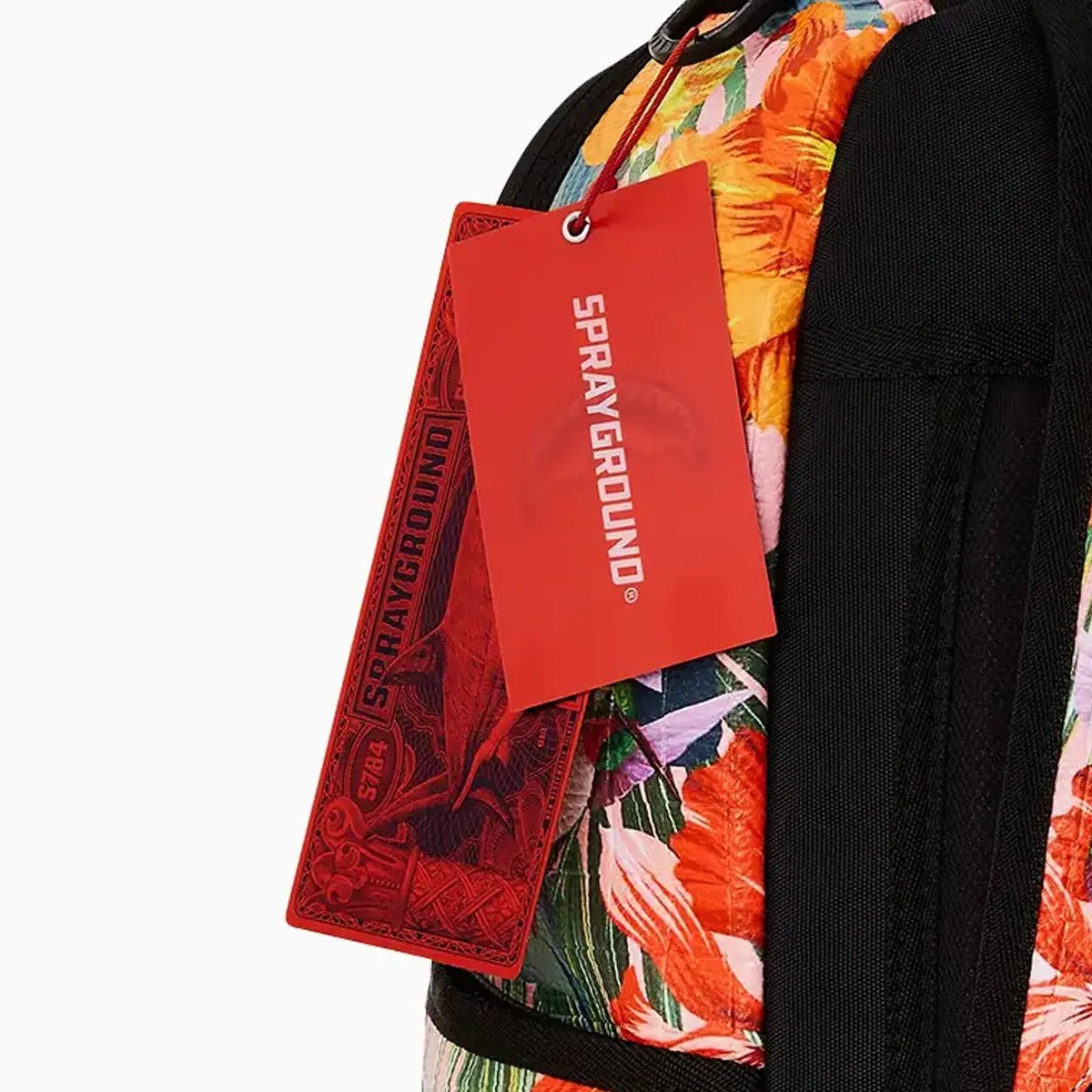 Hummingbird Shark Precision Backpack - Lightweight Durable Travel Backpack for Men & Women - Perfect for Hiking, Camping, School & Office Commute