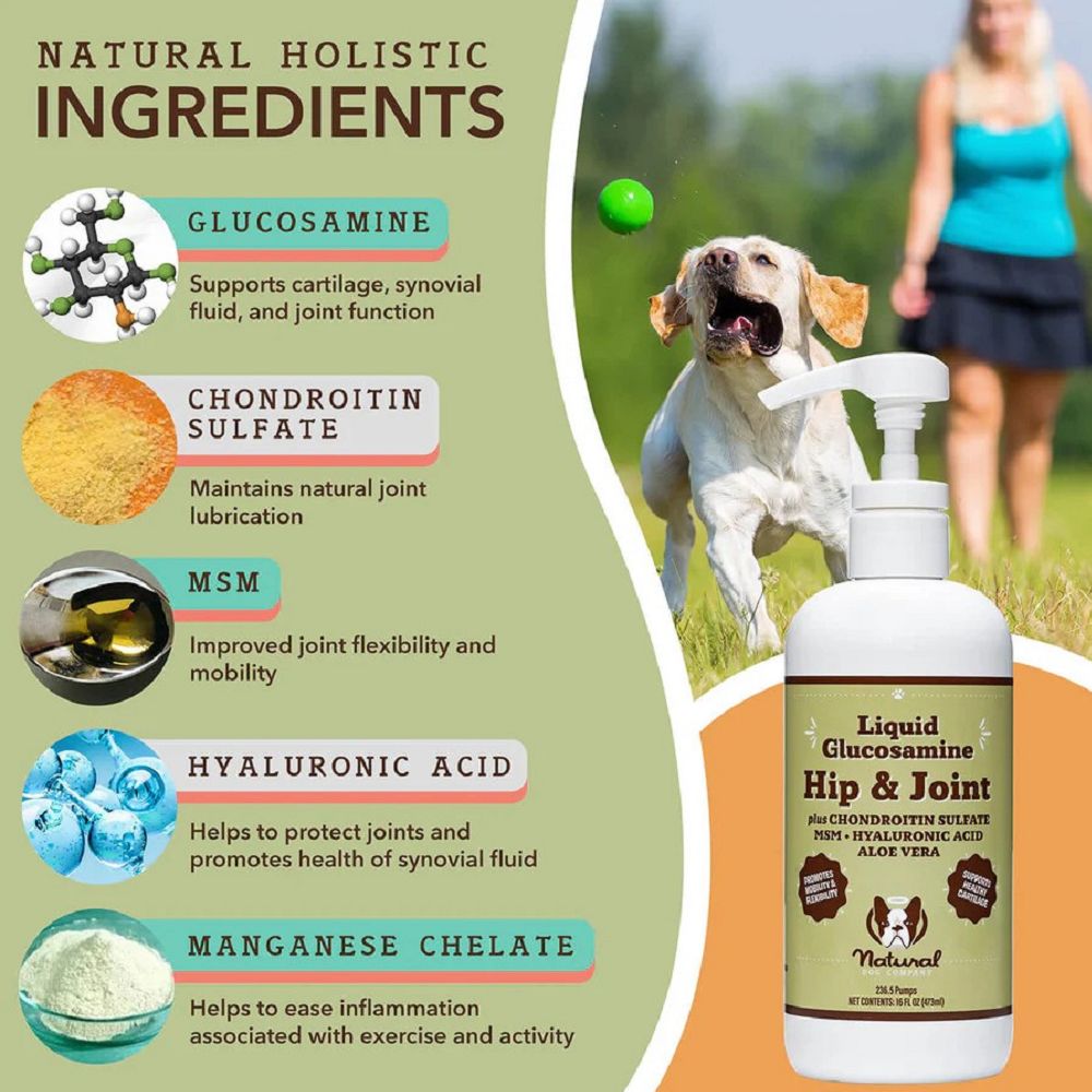 Liquid Glucosamine Supplement for Dogs - Hip & Joint Support Oil - Promotes Mobility & Comfort for Active & Senior Dogs - Perfect for Daily Use & Post-Exercise Recovery
