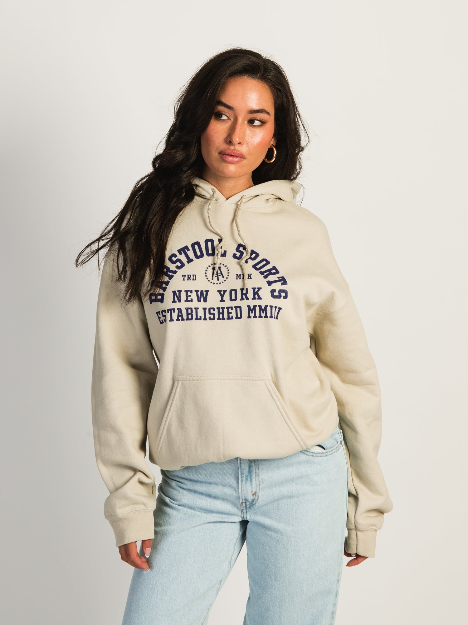 Barstool Sports BSS Established Pullover Hoodie - Men's Casual Sweatshirt for Lounge & Streetwear