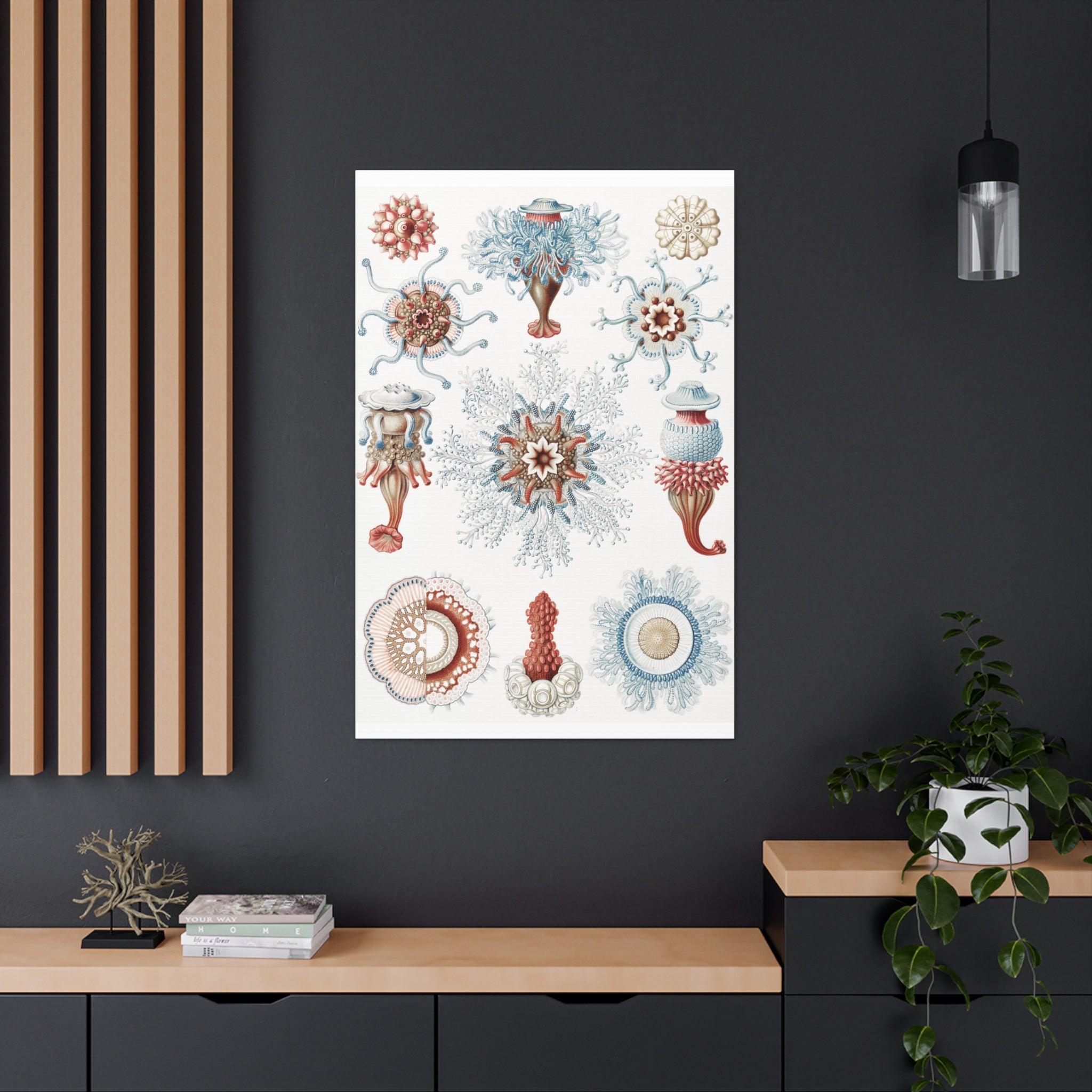 Ernst Haeckel Siphonophorae Jellyfish Art Print - Vintage Marine Biology Canvas Wall Decor for Living Room, Office & Science Classroom