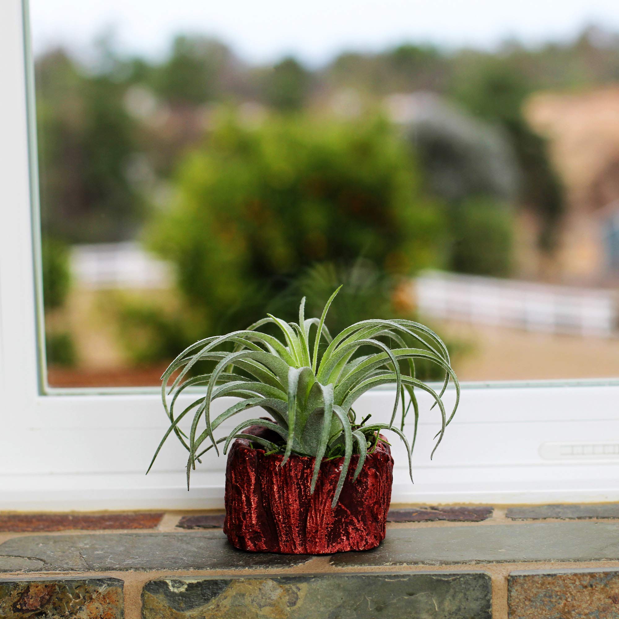 Handmade Ceramic Wood Planter Pot - Unique Log Design Indoor Flower Pot for Succulents, Small Plants & Home Decor | Perfect for Living Room, Office Desk & Garden Decor (Redwood Stump Style)