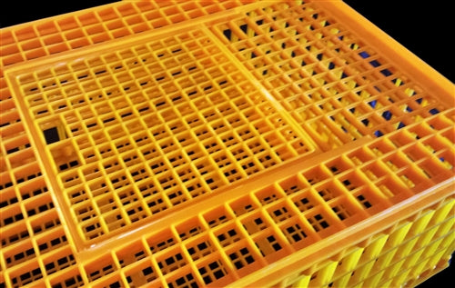 Rite Farm Poultry Chicken Transport Coop Cage - Portable Chicken Carrier for Hens, Ducks & Small Animals - Perfect for Farm, Vet Visits & Farmers Market Transport