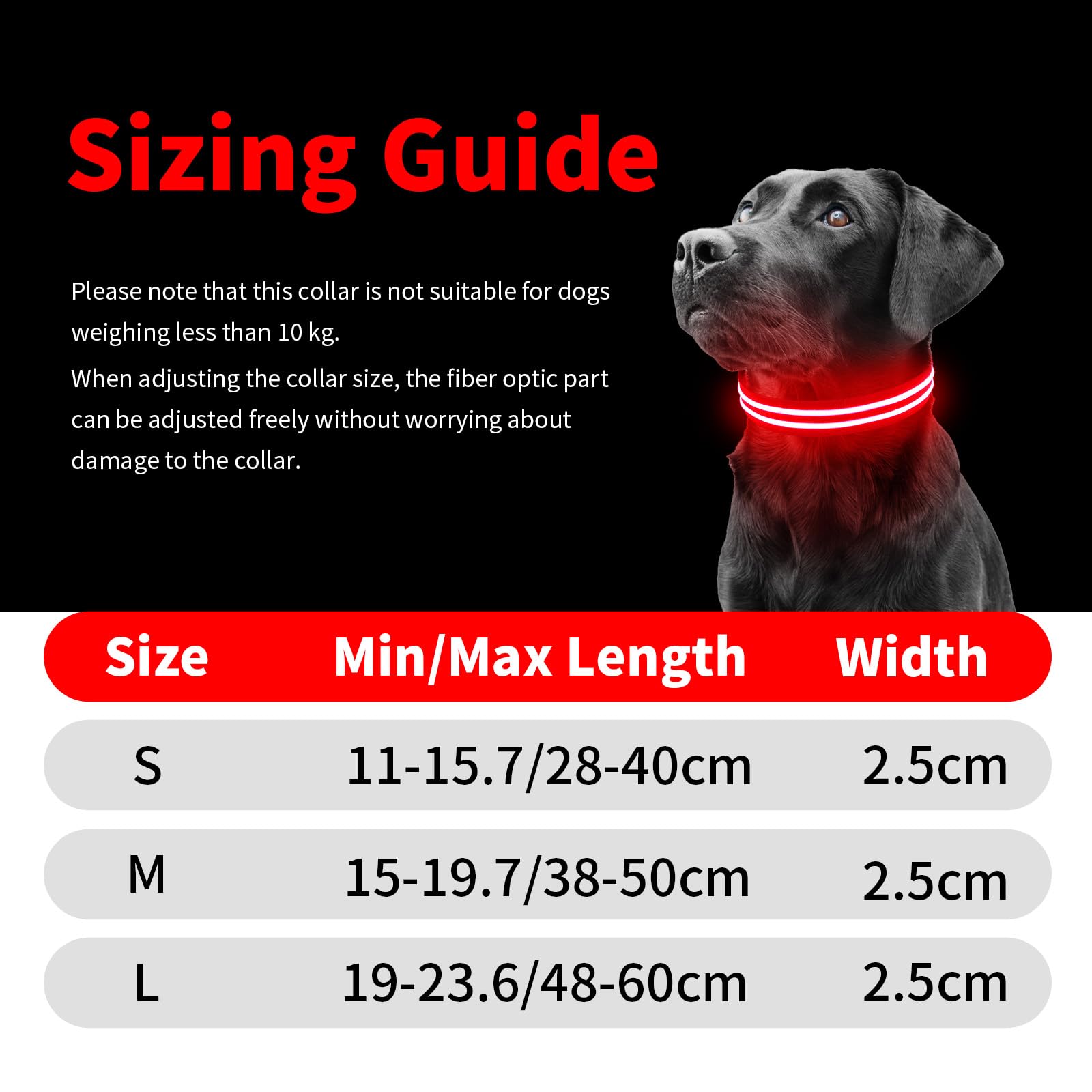 Rechargeable LED Dog Collar - Waterproof & Glow in The Dark Safety Collar for Small, Medium & Large Dogs - Perfect for Night Walks, Jogging & Outdoor Adventures
