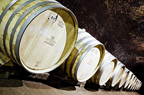 Premium Tokaj Wine Cellar Barrel Laminated Poster - 20x30 Inch Vibrant Wall Art for Home & Office Decor - Perfect for Living Room, Kitchen, Bar & Wine Tasting Rooms