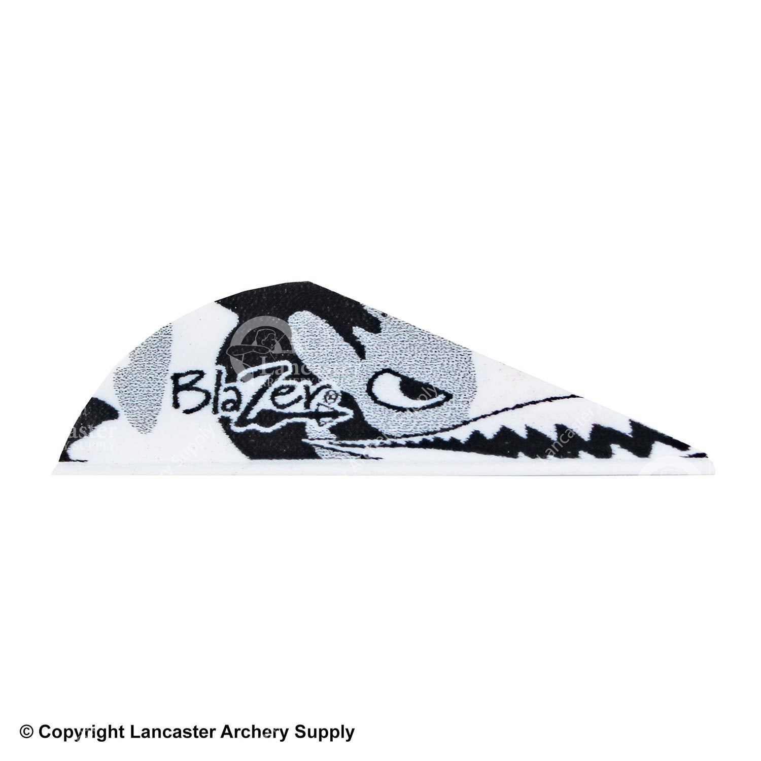 B/W Flying Tiger Shark
