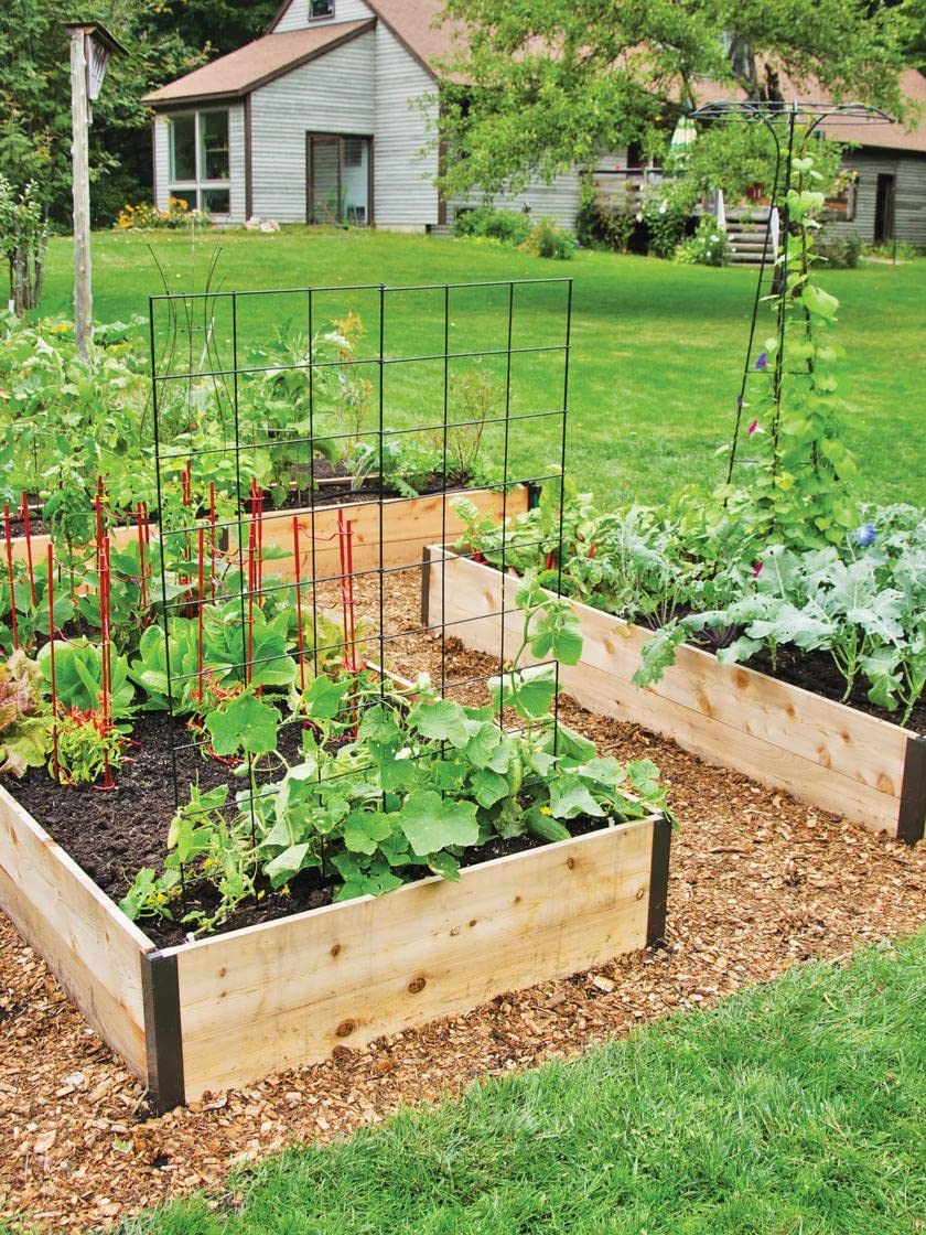 **Extra Deep Raised Garden Bed 4'x8'x14