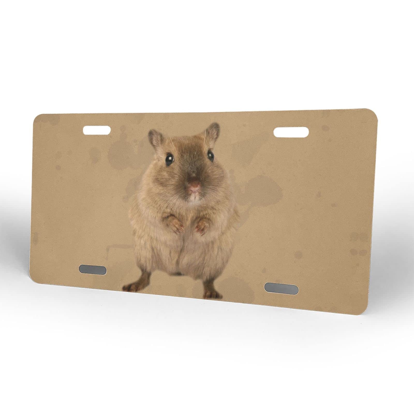 Funny Hamster Car License Plate - 6x12 Inch Aluminum Novelty Front Plate for Cars, Trucks & SUVs - Perfect Gift for Pet Lovers & Car Enthusiasts - Great for Road Trips, Car Shows & Personalizing Your Vehicle