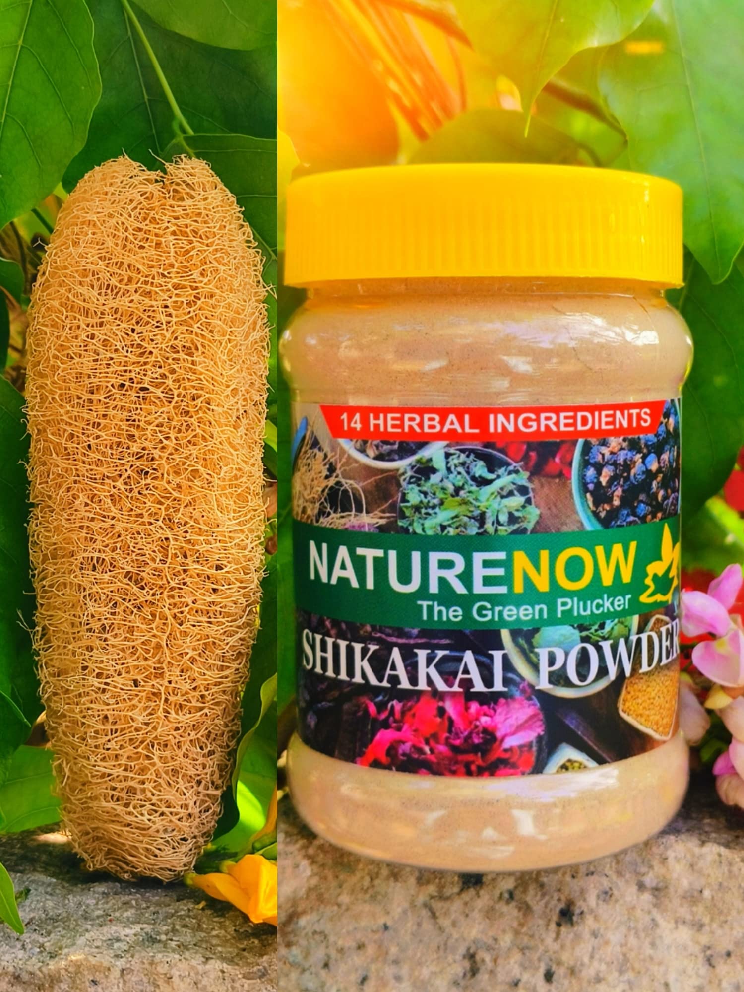 NATURE NOW Herbal Shikai Powder with FREE Loofah - Natural Exfoliating Body Scrub for Smooth & Glowing Skin | Perfect for Spa Day, Post-Workout Refresh & Dry Skin Care