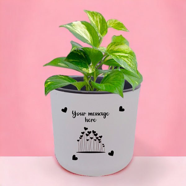 Money Plant Self Watering Pot - Personalized White Ceramic Planter with Automatic Watering System | Perfect for Home Office Decor, Housewarming Gifts & Indoor Plants
