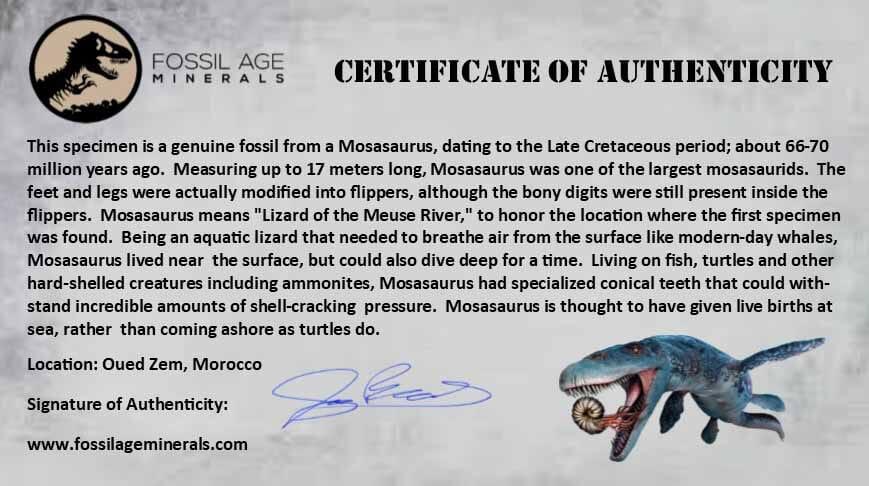 1.7
