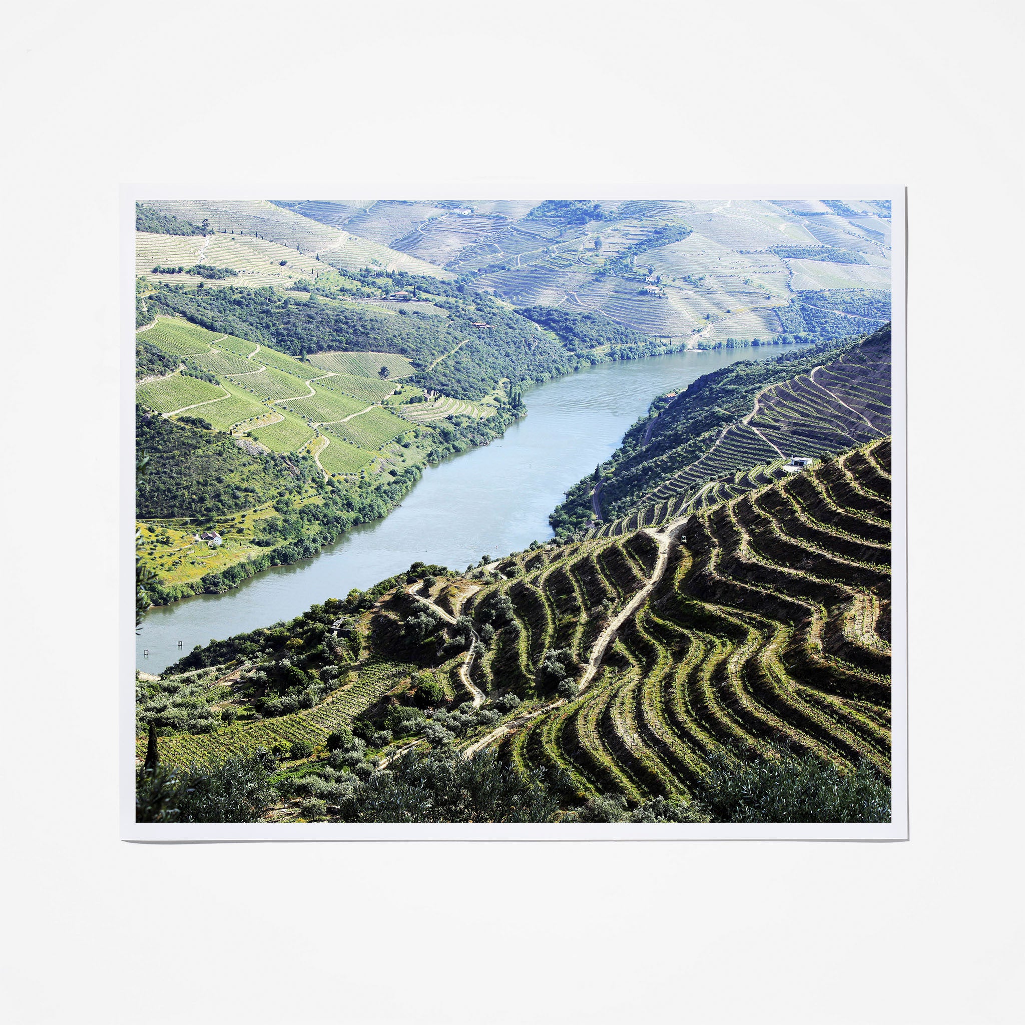 Best Portuguese Wines - Premium Red, White & Port Wines from Portugal's Top Vineyards | Perfect for Gifts, Dinner Parties & Wine Tasting Events