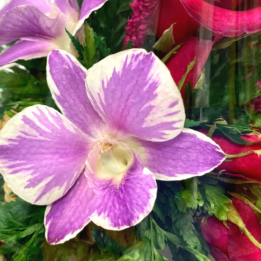 Luxury Preserved Orchid Arrangement in Glass Vase - Long Lasting Silk Flowers for Anniversary, Wedding, Corporate Gifts - Perfect for Home Decor, Office Centerpiece & Special Occasions