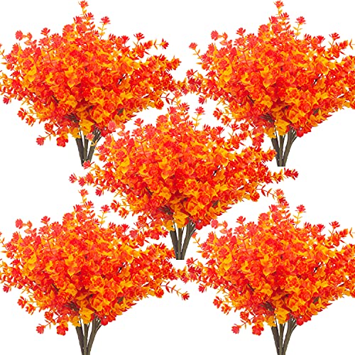 Gold Yellow-eucalyptus