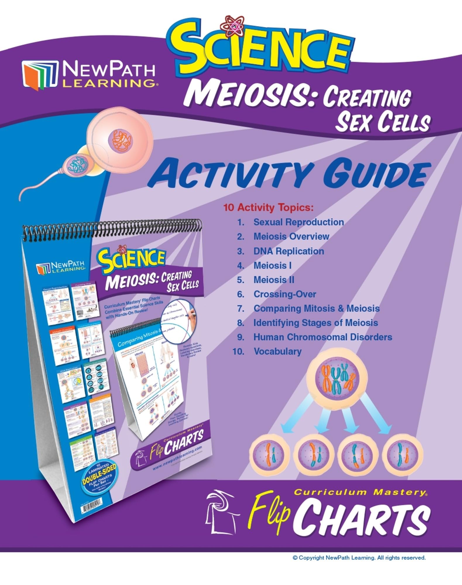 Newpath Learning Meiosis Flip Chart & Online Multimedia Lesson - Science Classroom Teaching Aid for Grades 6-10 | Perfect for Homeschooling & Interactive Biology Lessons