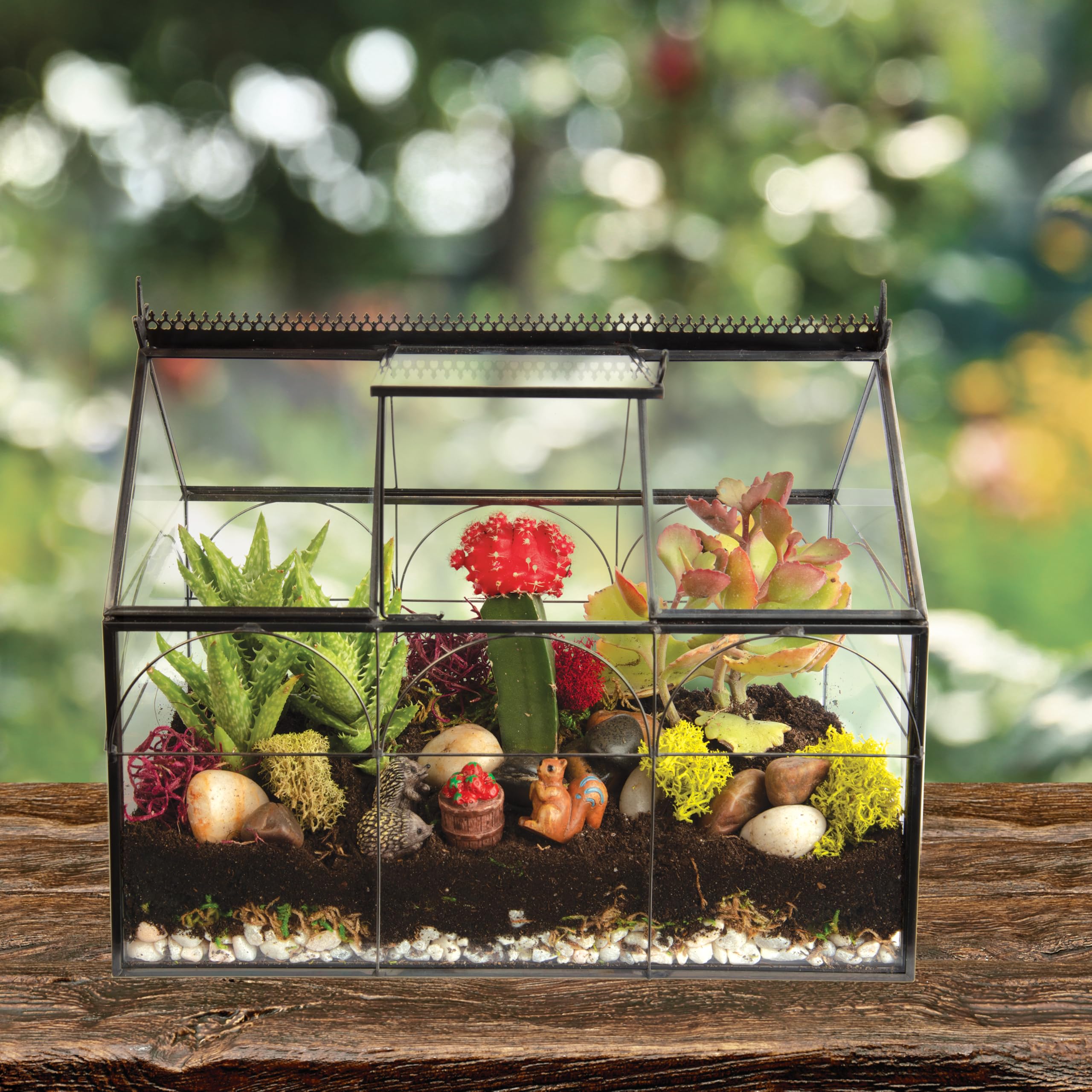 Decorative Glass Greenhouse Terrarium (10x4.5x9 Inches) - Indoor Tabletop Black Hinged Geometric Planter for Succulents, Air Plants, Moss & Ferns - Modern Home, Office & Garden Decor - Perfect Gift for Plant Lovers - Ideal for Windowsills, Desks & Shelf Displays