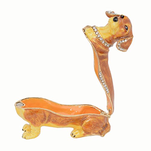 Dachshund